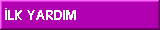 but04.gif (765 bytes)