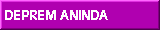 but05.gif (878 bytes)
