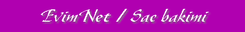 evsac.gif (6262 bytes)