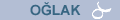 oglak.gif (442 bytes)